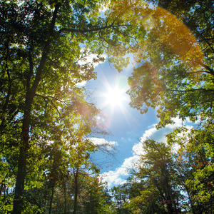 国产精品强奸网站

